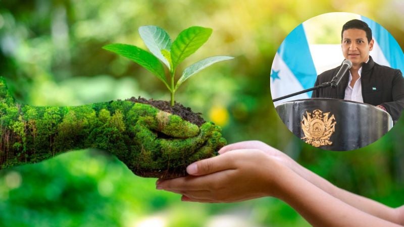 Honduras apunta a acceder a $30 millones para rehabilitación ambiental: Serna