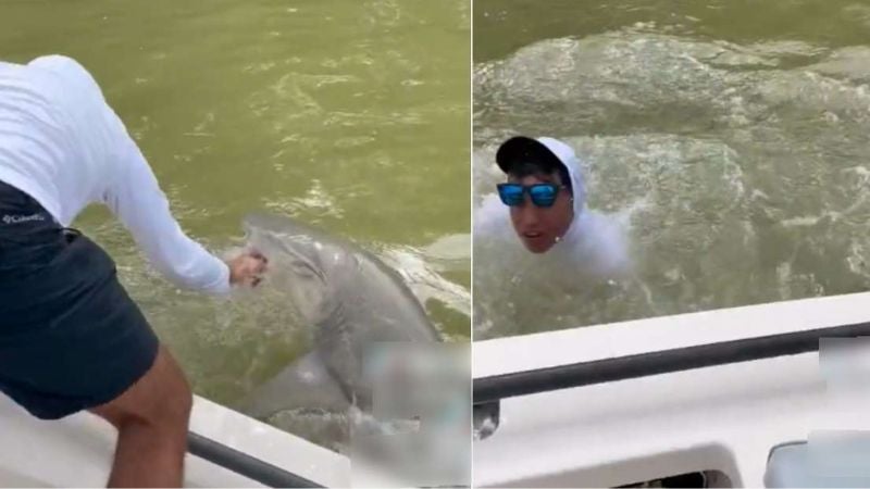 Tiburón muerde y arrastra a un hombre que pescaba en EEUU.