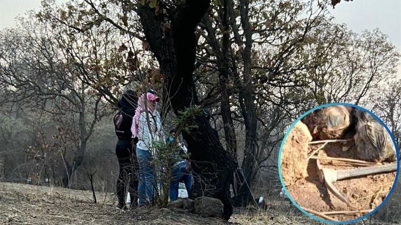 Encuentran unas 32 bolsas con restos humanos en Jalisco, México