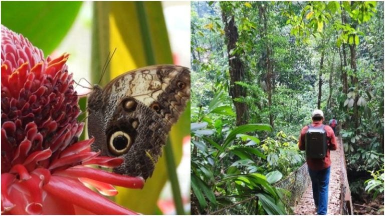 Mariposario del Lago de Yojoa