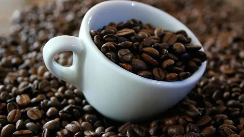 Ingresos exportación café disminuyen