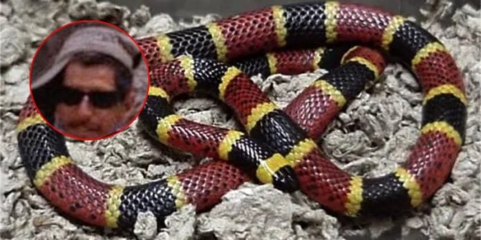 hombre muere tras ser picado por serpiente