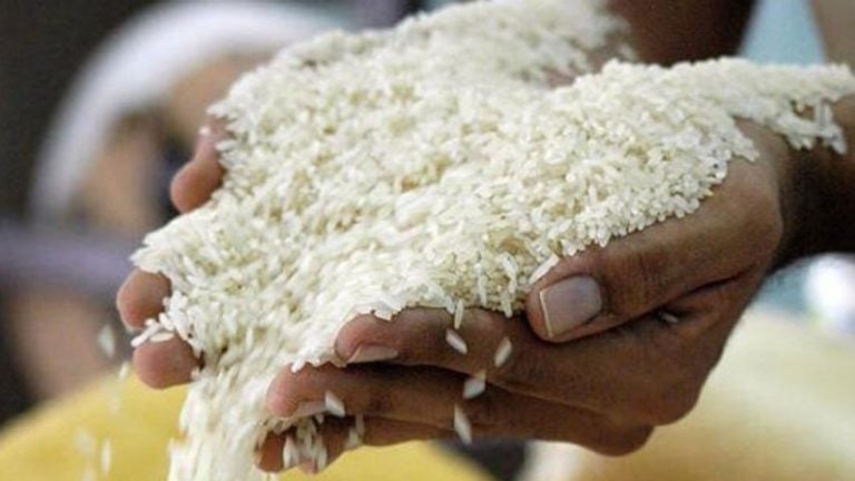 Apenas el 10% de la demanda nacional suplirá la cosecha de arroz este año