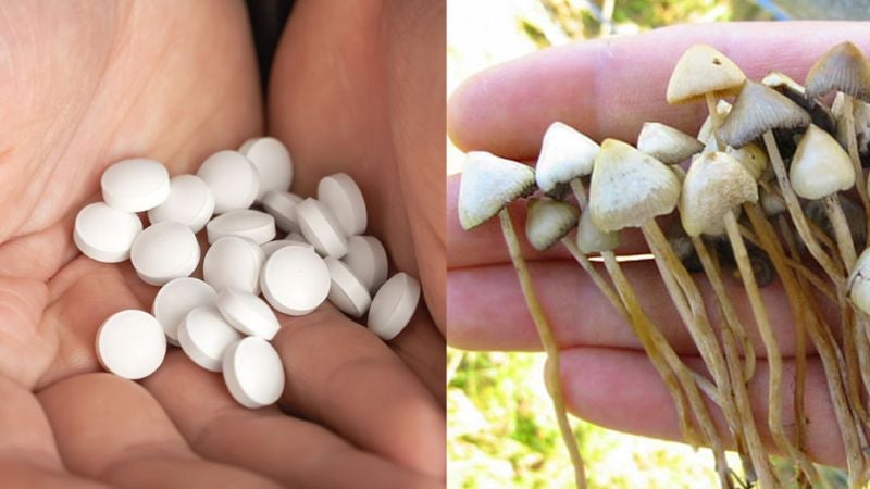 Hongos y éxtasis 