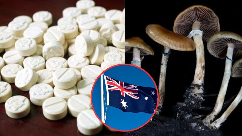 Uso de hongos éxtasis Australia