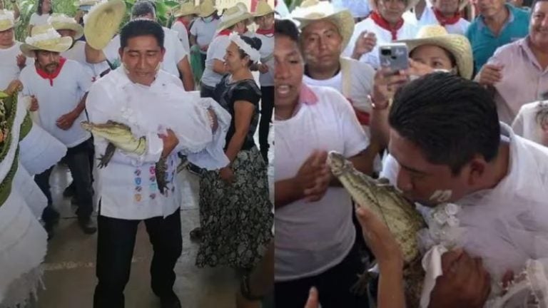 Alcalde mexicano se casa con un caimán hembra en rito tradicional