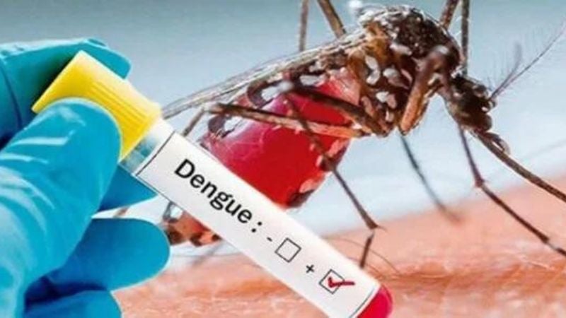 Dengue en Honduras