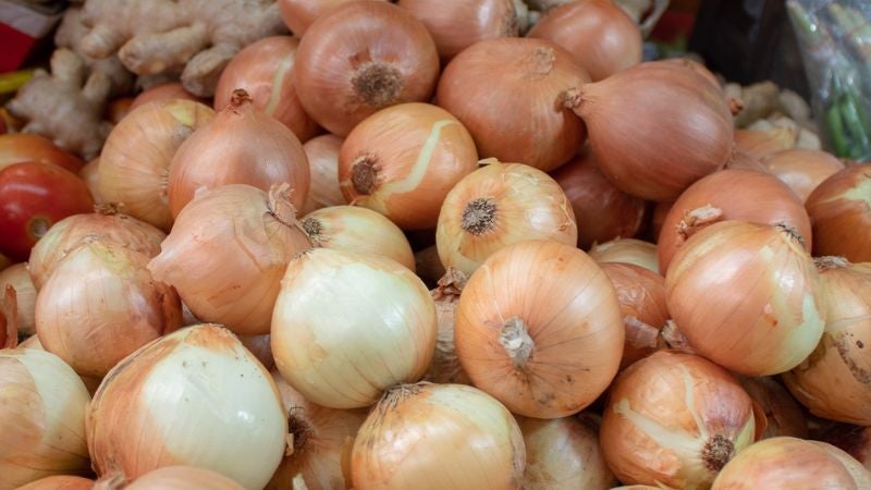 Comerciantes confirman repunte al precio de saco de cebolla