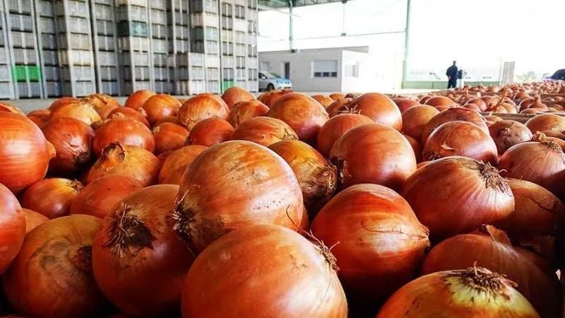 Ingreso de cebolla de contrabando dispara su precio en mercados hondureños