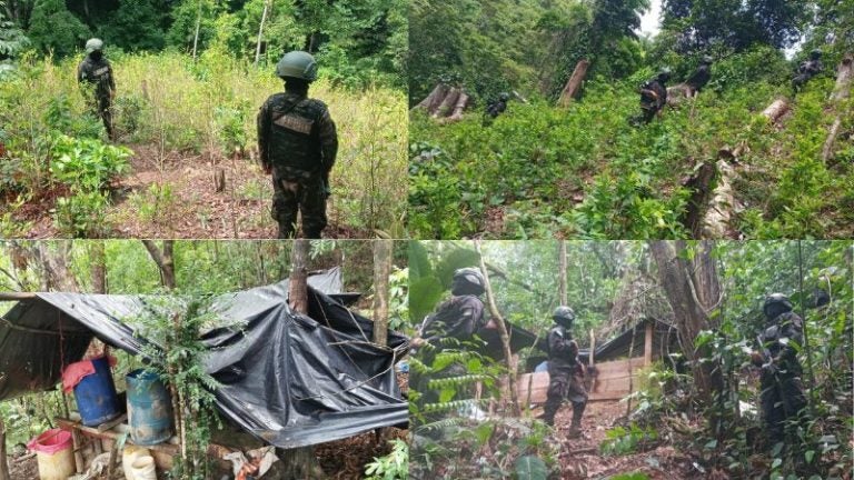 Localizan plantaciones coca Iriona