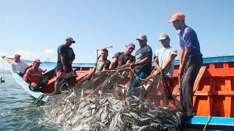 Pescadores artesanales en el golfo de Fonseca piden protección de la Fuerza Naval