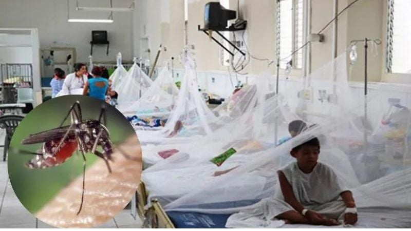 Epidemia dengue 7 departamentos