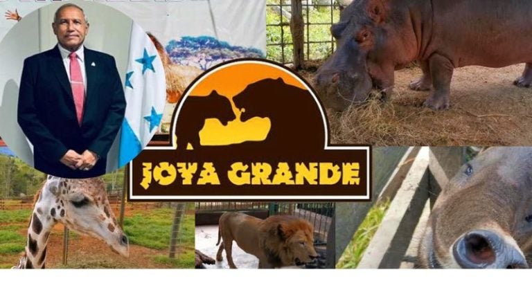 En el sitio, OABI desmiente supuesto descuido y muerte de animales en el zoológico “Joya Grande”