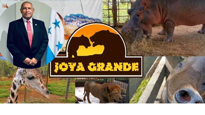 En el sitio, OABI desmiente supuesto descuido y muerte de animales en el zoológico “Joya Grande”