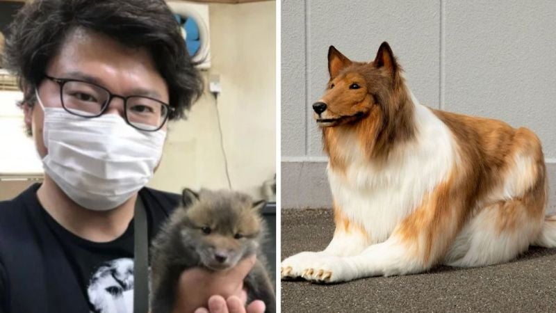 Hombre gasta más de $15.000 para transformarse en perro en Japón