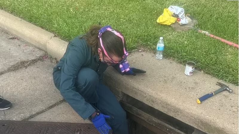 Mujer busca durante varios días a cachorros perdidos dentro de desagües infestados de cucarachas en EE.UU.