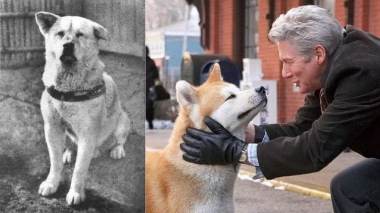 Historia de Hachiko