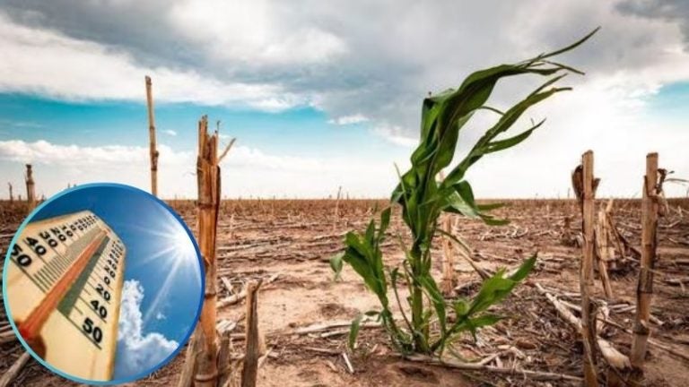 El plantea batirá récord de temperatura diaria, según primeras mediciones