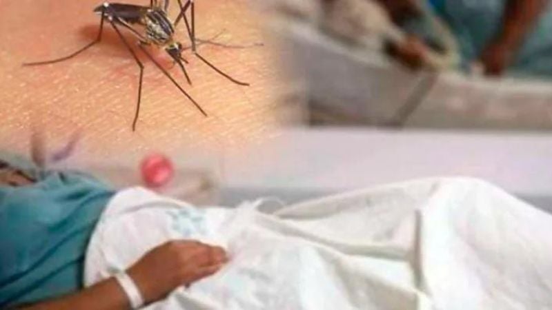 Departamento de Olancho bajo epidemia por el alto nivel de casos de dengue
