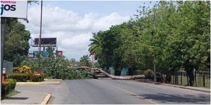 La Ceiba 