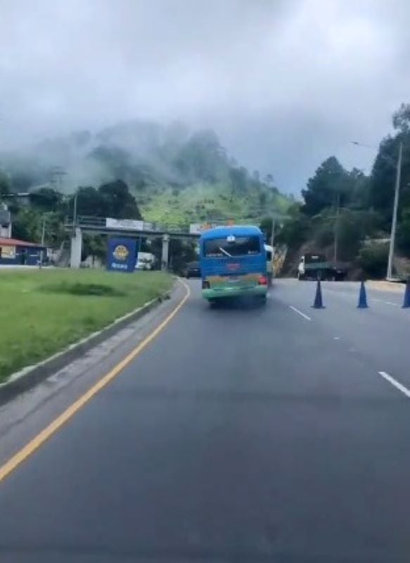Rapidito