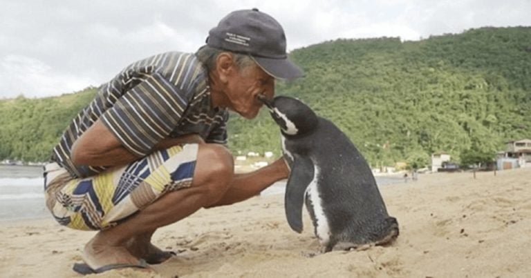 Pescador y pingüino