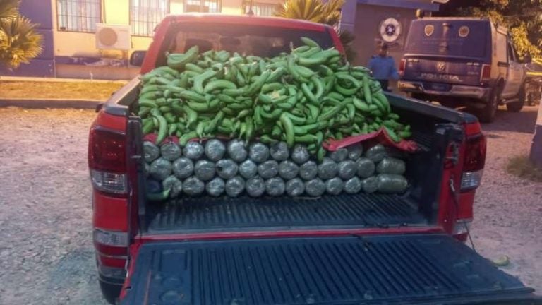 Marihuana oculta bajo guineos verdes