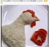 memes-libra-pollo4_5109908_20230725220755