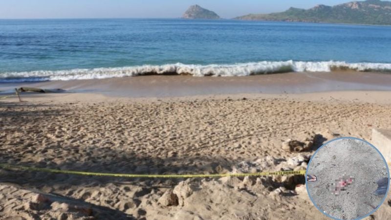 Encuentran feto en playa de de La Ceiba