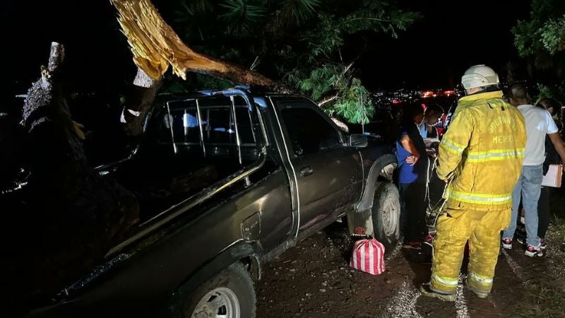 Mujer muere aplastada por un árbol en Comayagua