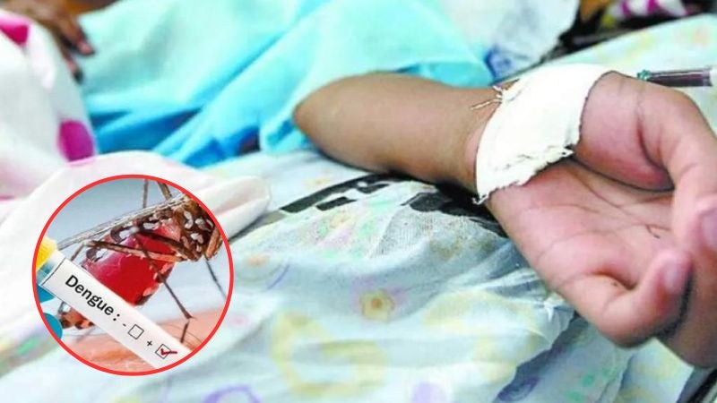 Ingresos hospitalarios niños dengue Honduras