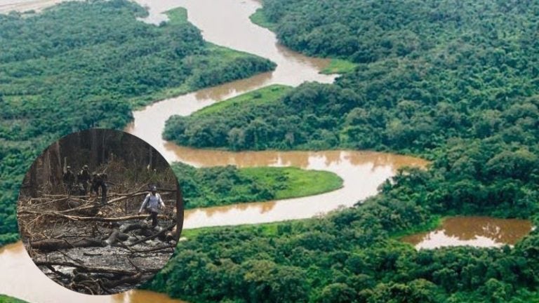 Amenazas asechan la conservación de la Biósfera del Río Plátano