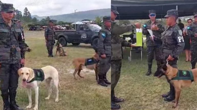 Batallón Canino clausura curso