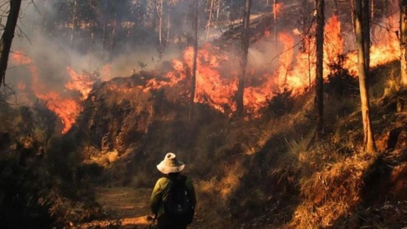 Un incendio forestal deja cinco muertos en Perú