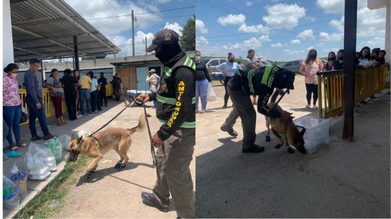 Buscan frenar ingreso de drogas a las cárceles con escuadrón canino