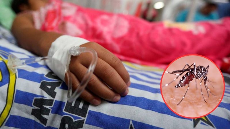 Casos dengue Honduras niños