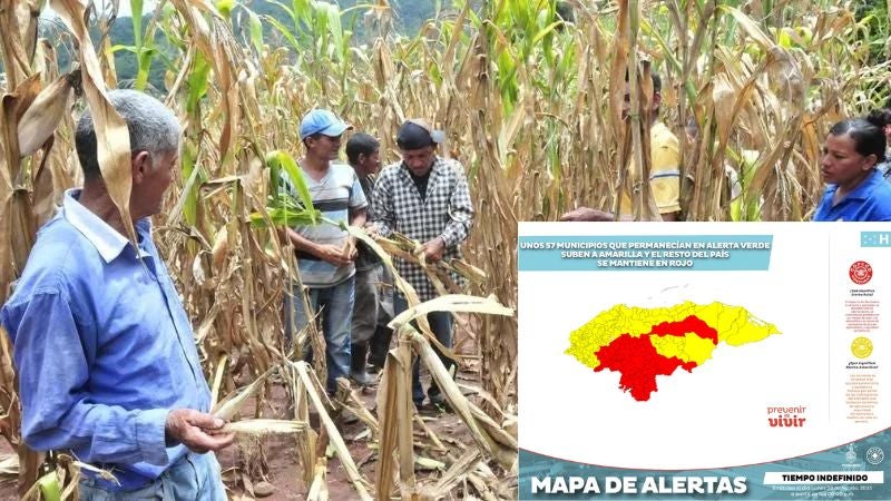 Elevan alerta amarilla a 57 municipios por sequía meteorológica