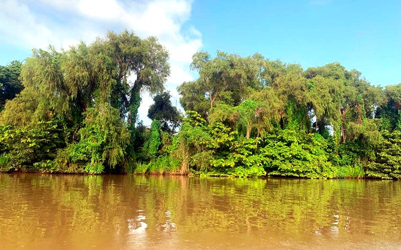 Amenazas asechan la conservación de la Biósfera del Río Plátano