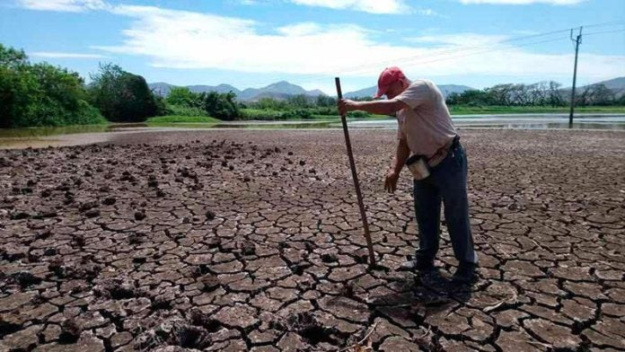 Copeco Canícula lluvias Corredor Seco