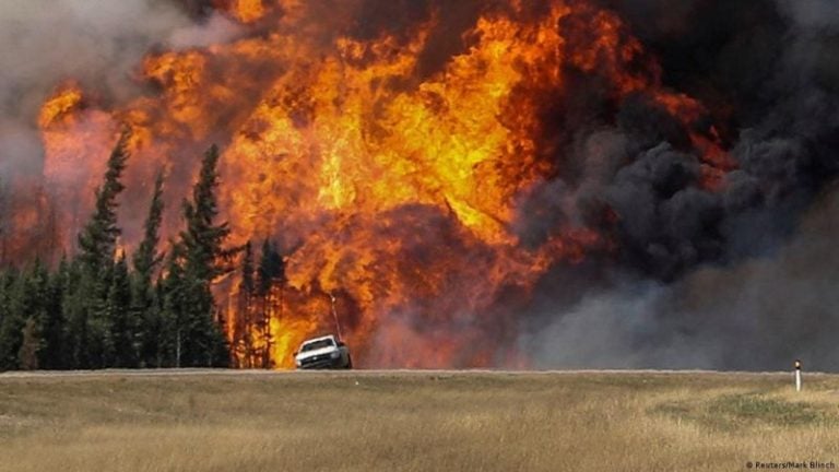 Incendios forestales Canadá carbono