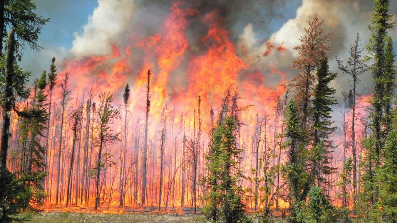 Incendios forestales Canadá carbono