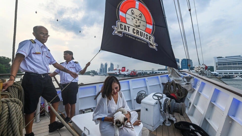 gatos de lujo se van de crucero en Singapur