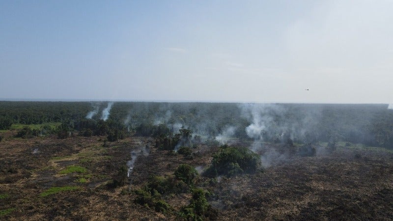 Incendio refugio Cuero y Salado