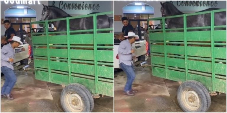 olanchano baila con su caballo