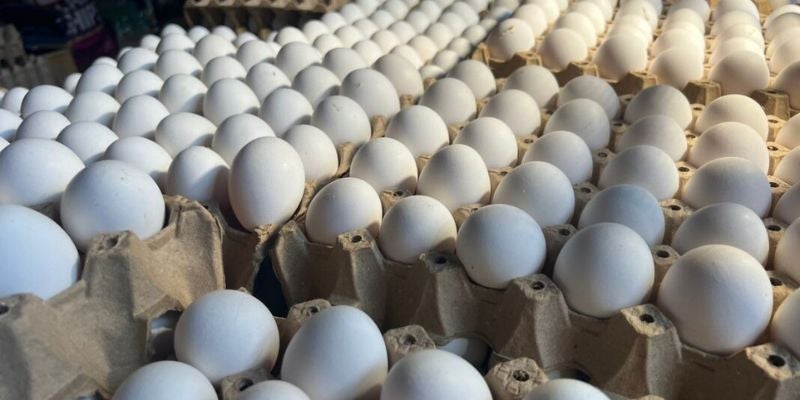Reportan incremento de 7 lempiras al cartón de huevos en Feria del Agricultor