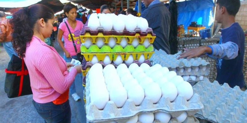 Reportan incremento de 7 lempiras al cartón de huevos en Feria del Agricultor