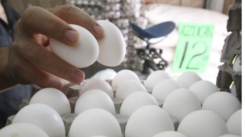Avicultores: Alza del precio de huevos es por incremento de la demanda