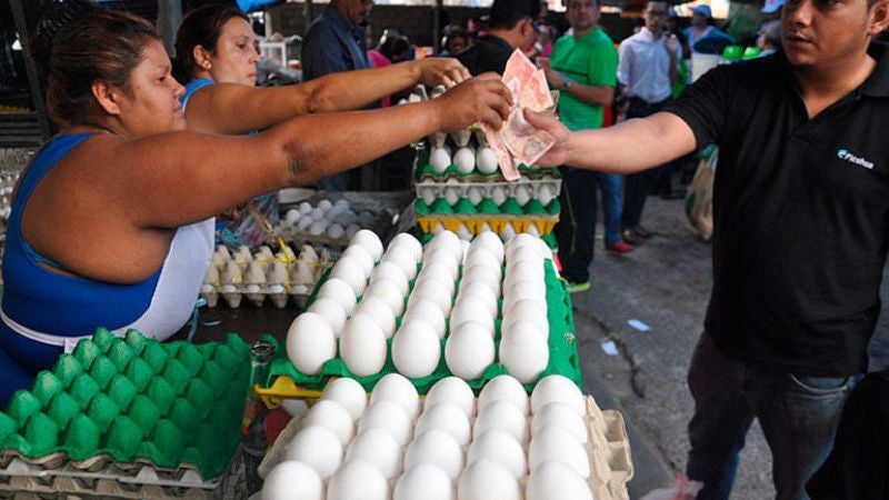 Avicultores: Alza del precio de huevos es por incremento de la demanda