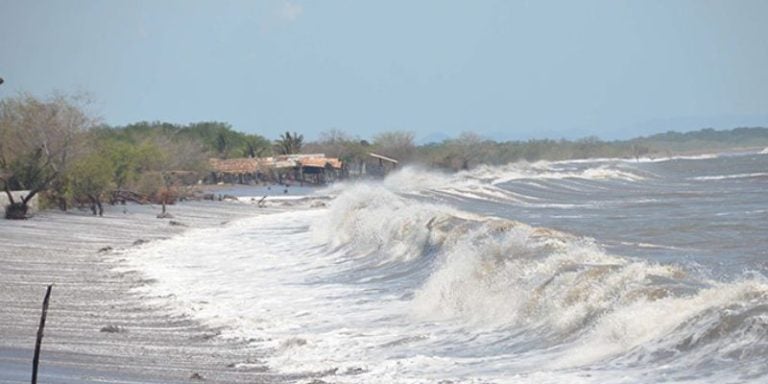 Crecidas del mar se tragan cada vez más costas de Marcovia: Alcalde