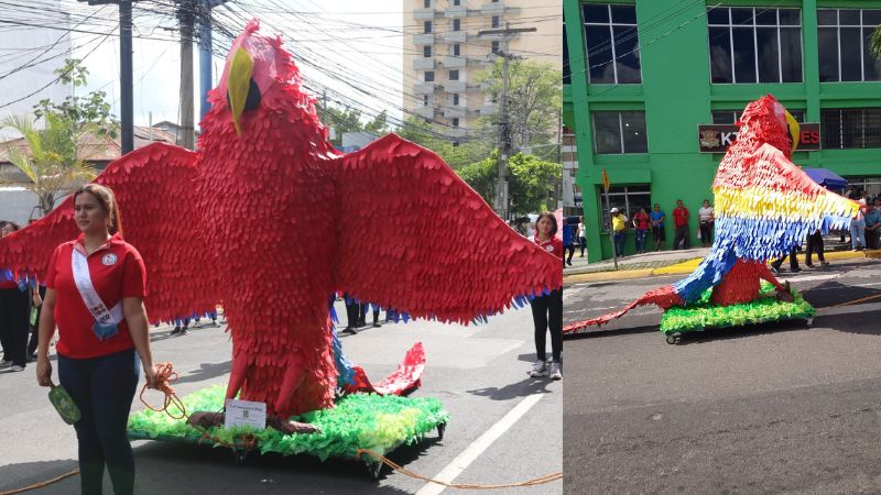 papagayo en desfiles SPS